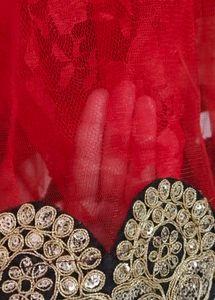 Elegant Red &amp; Black Embellished Dress