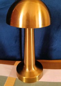 Chargeable Mushroom Lamp