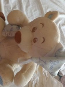 Cute Stuffed Bear
