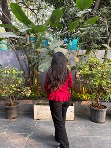Maroon Ruffled Blouse