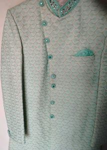 Elegant Mint Green Indo Western