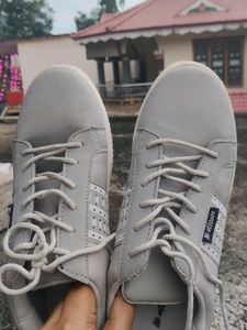 Hi Attitude Women Sneakers