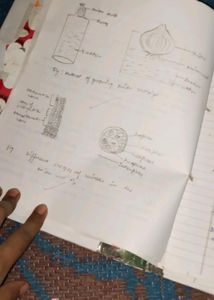 Class 12th Biology Practical File Complete