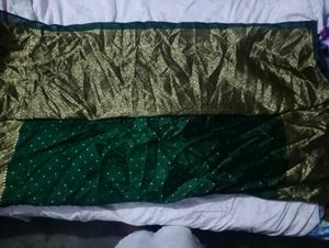 Elegant Green &amp; Gold Saree