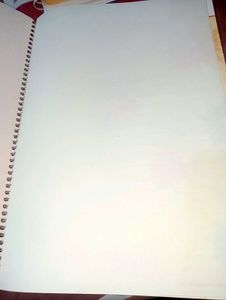 Citizen Spiral Plain Page Notebook + A4 Size Sheet