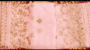 Pink Saree