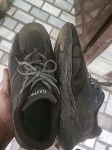 Oxedo Sports Shoes