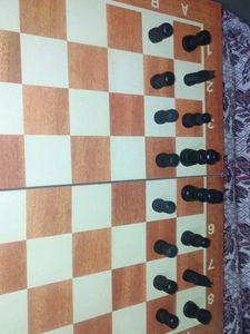 Wooden Chess