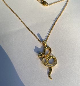 Anti Tarnish Stainless Steel Serpentine Necklace