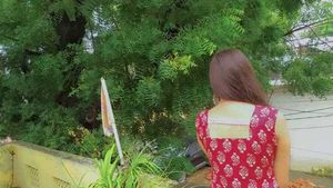 Women's Cotton Printed Straight Sleeveless Kurta