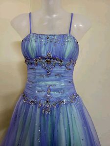 Princess Gown