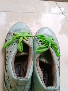 Casual Shoes