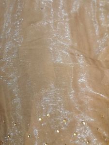 Elegant Embellished Saree