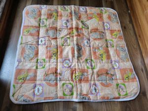 New Born Baby  Wrap On Blanket Cloth