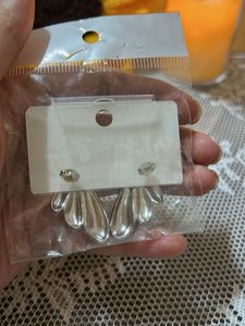 Winged Earrings