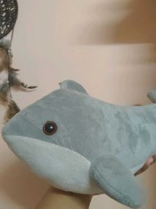 Cute Dolphin Plush