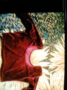 Velvet Blouse