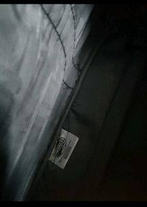 American Tourister duffel bag with wheel