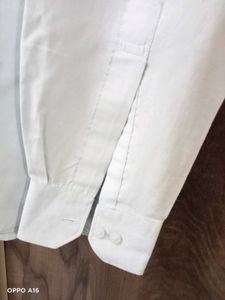 Shirt(Pletino)