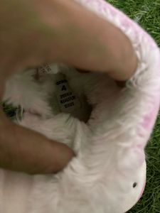 Anko Unicorn Shoes Rubber Sole