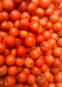 Dry Indian jujube/ Indian plum