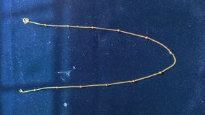 Gold Covering Chain