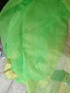 Green &amp; Gold Striped Saree Fabric