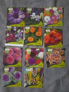 Flowers Seed