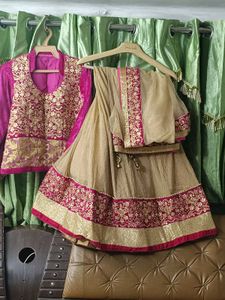 Embroidered Lehenga Choli Set
