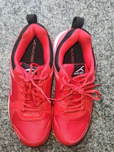 Hundred Court Star Badminton Shoes