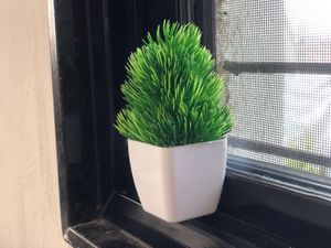 Small Tree Pot For Home Decoration ❤️
