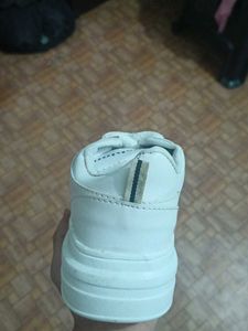 White Casual Shoes