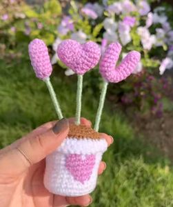 Crochet Pot
