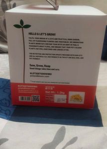 Elegant Dahila Flower Grow Kit