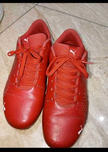 Puma Ferarri Model Shoes