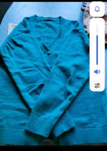 A Kashmiri Sweater