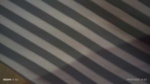 Striped HEAT T-Shirt