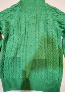 Max Green Turtleneck Sweater