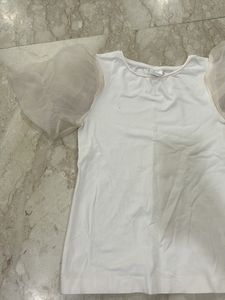 Zara Organza Sleeves Top
