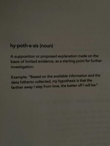 The Love Hypothesis ( Brand New)
