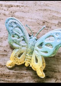 Butterfly Hair Clip Combo