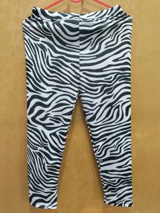 Nylon Swimming Suit For Women