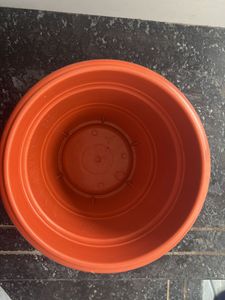 Small Flower Pot