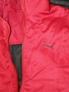 Orginial Puma Red Jacket (cash payment)