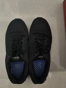 Skechers Shoes