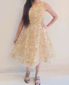 Embroidery Net One Peice Dress