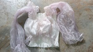 Sheer Ruffle Sleeve Top