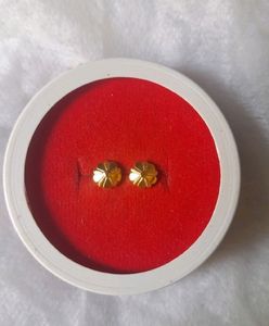 Beautiful New Shaining Stone Studs
