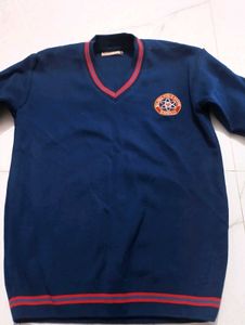 Stylish School Blue Sweater