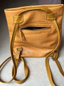 Baggit Bagpack Cum Sling Bag